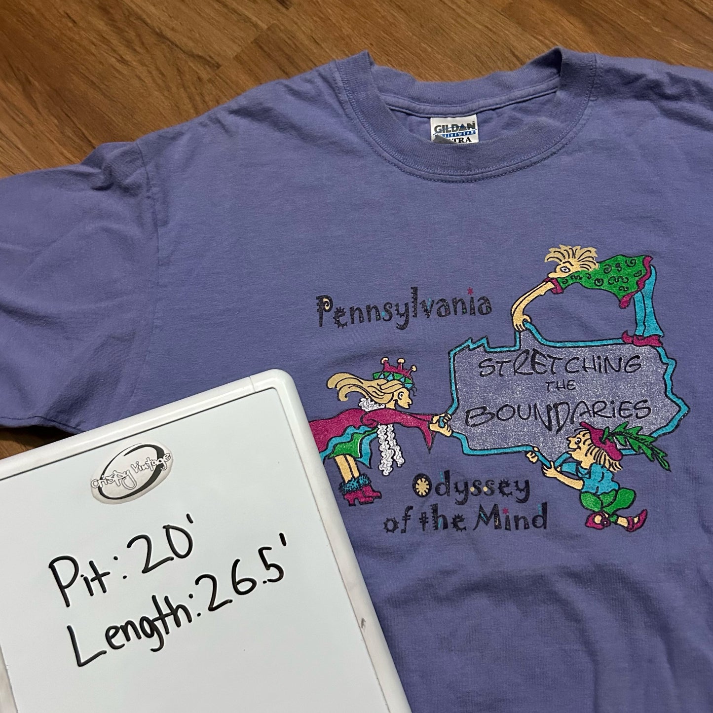 (M) Vintage Odyssey of the Mind Pennsylvania Purple Graphic T-Shirt