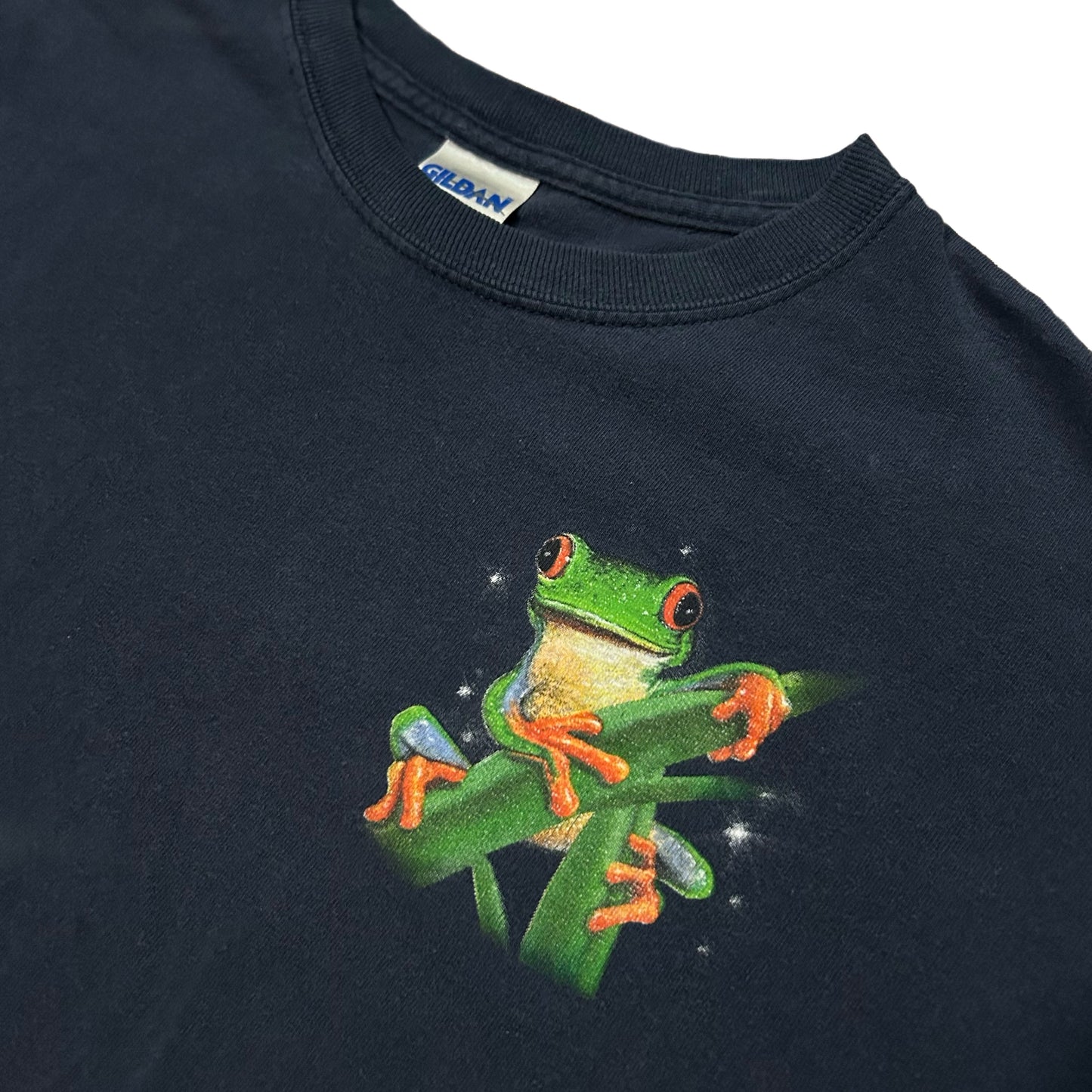 (M) Vintage Frog Earth Day Black Shirt