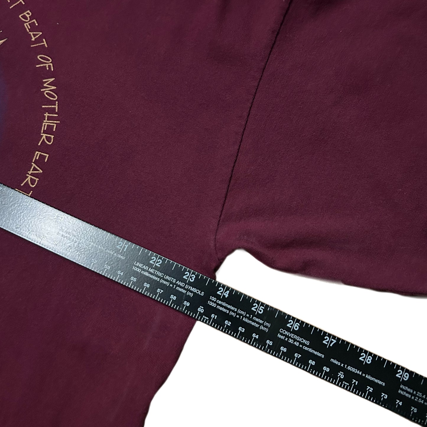 (XL) Vintage 90s Heartbreak Of Mother Earth Turtle Burgundy Shirt