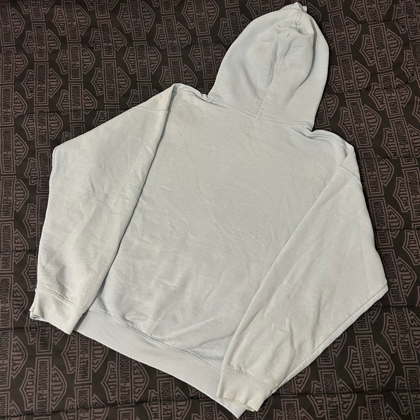 (L) Camp Flog Gnaw 2019 Smokey Bear Blue Graphic Pullover Hoodie