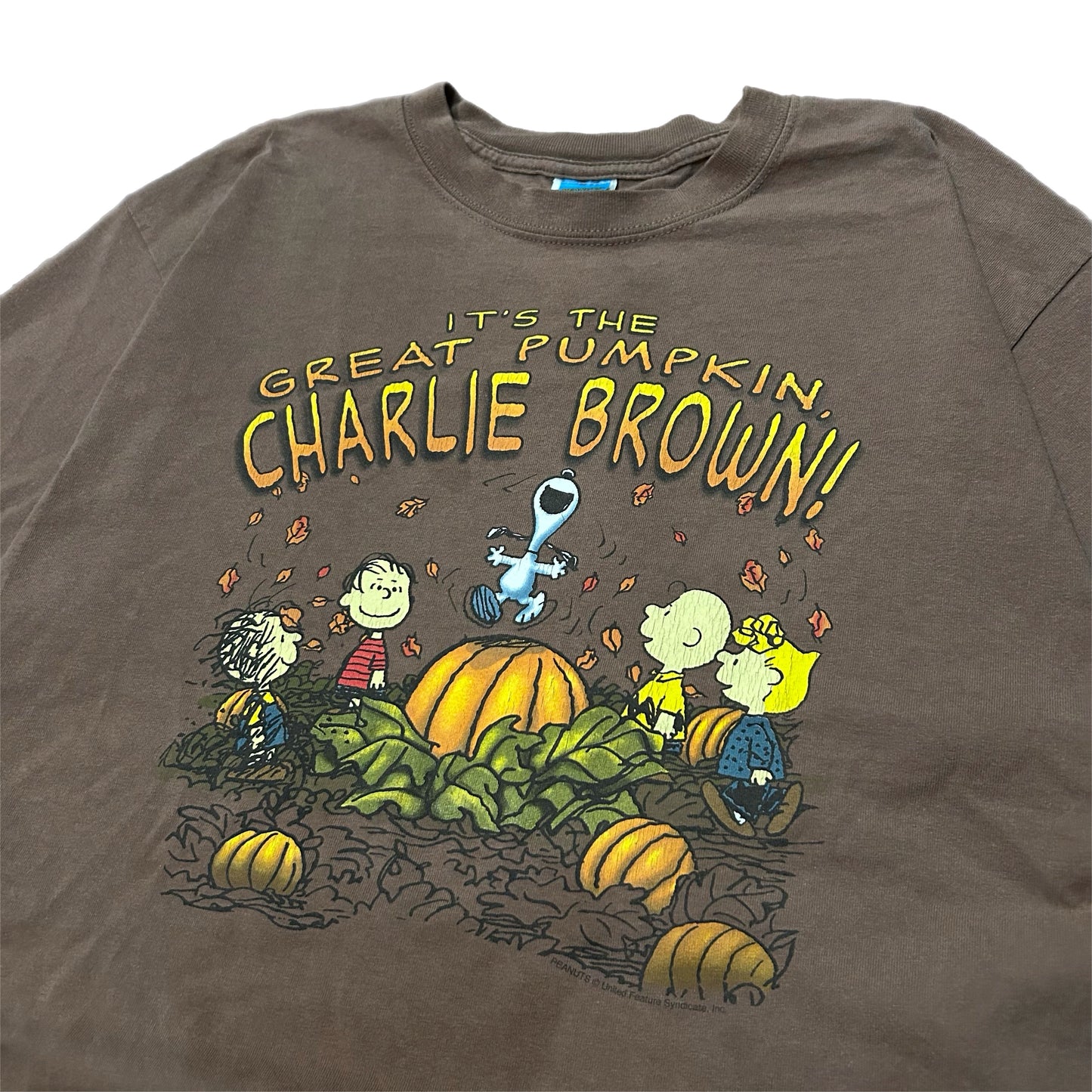 (L) Vintage Peanuts Charlie Brown Snoopy Fall Pumpkin Brown Shirt