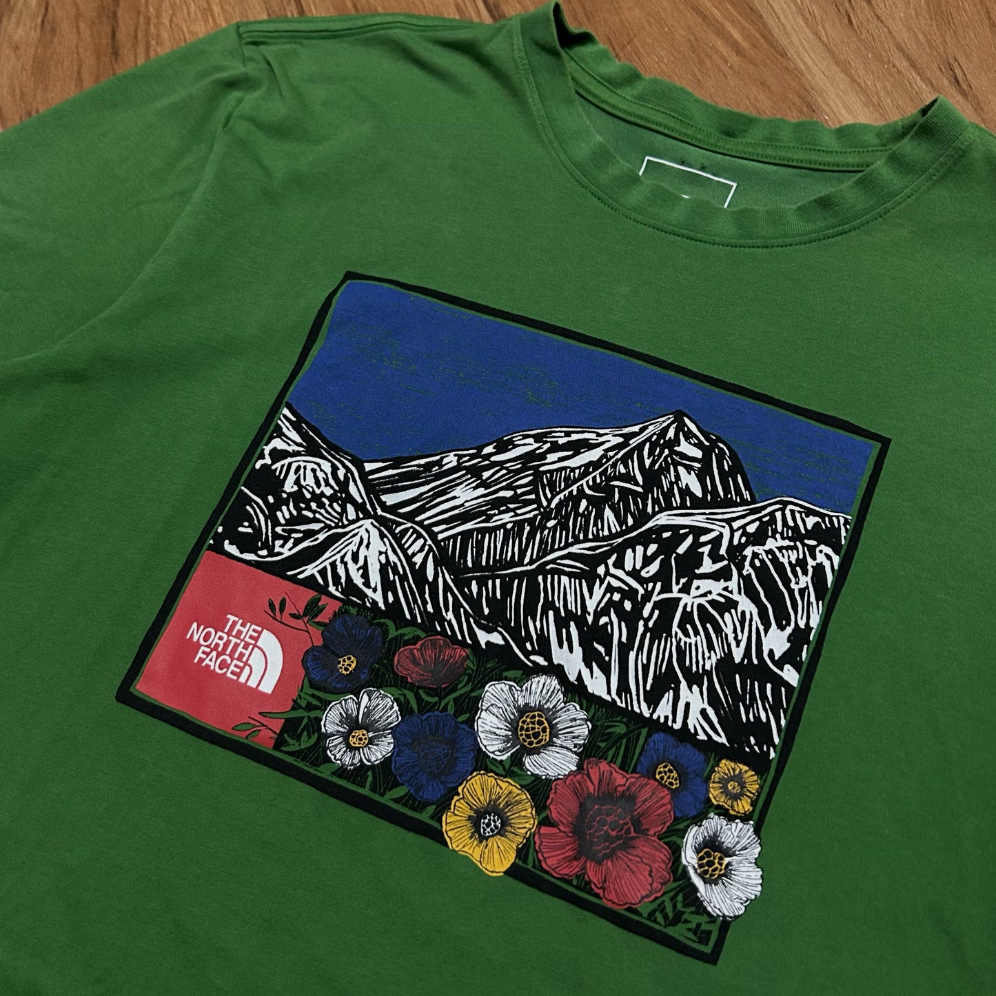 (M) The North Face Himalayan Source Green T-Shirt