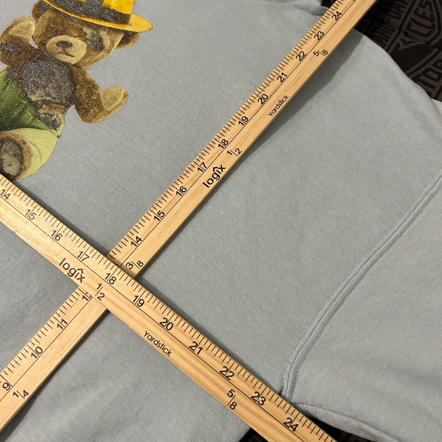(L) Camp Flog Gnaw 2019 Smokey Bear Blue Graphic Pullover Hoodie