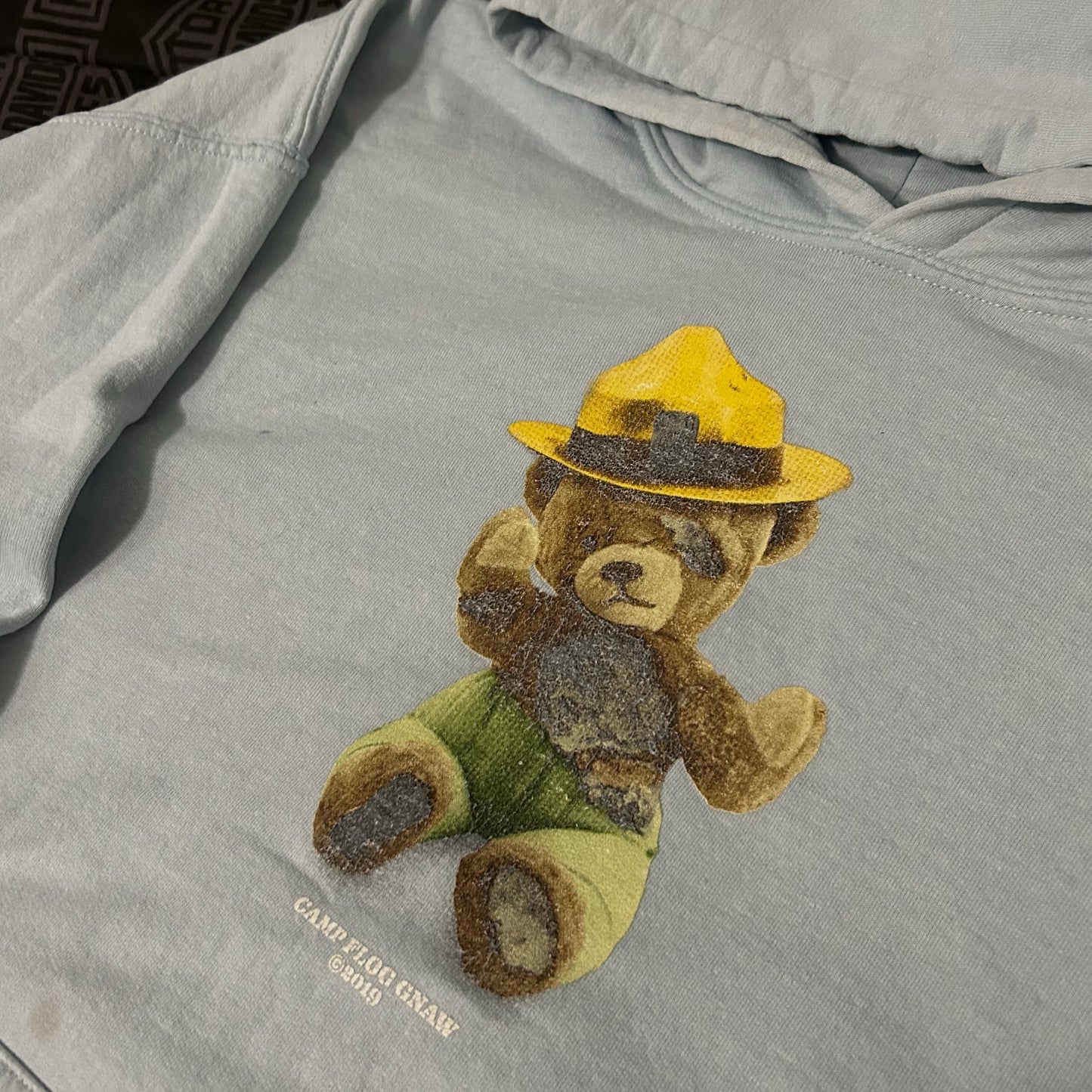 (L) Camp Flog Gnaw 2019 Smokey Bear Blue Graphic Pullover Hoodie