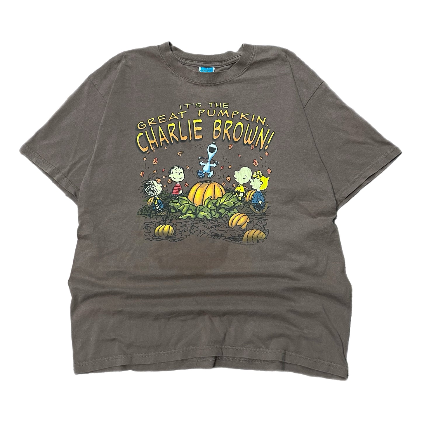 (L) Vintage Peanuts Charlie Brown Snoopy Fall Pumpkin Brown Shirt