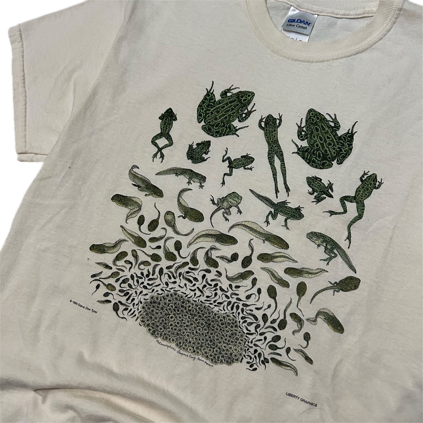 (M) Vintage Frog Life Cycle Beige T-Shirt